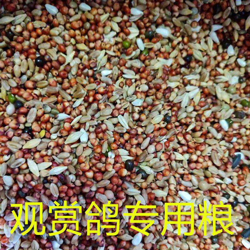 观赏鸽粮幼鸽粮短嘴鸽子粮鸟食小颗粒斑鸠饲料山鸡竹鸡料10斤3斤