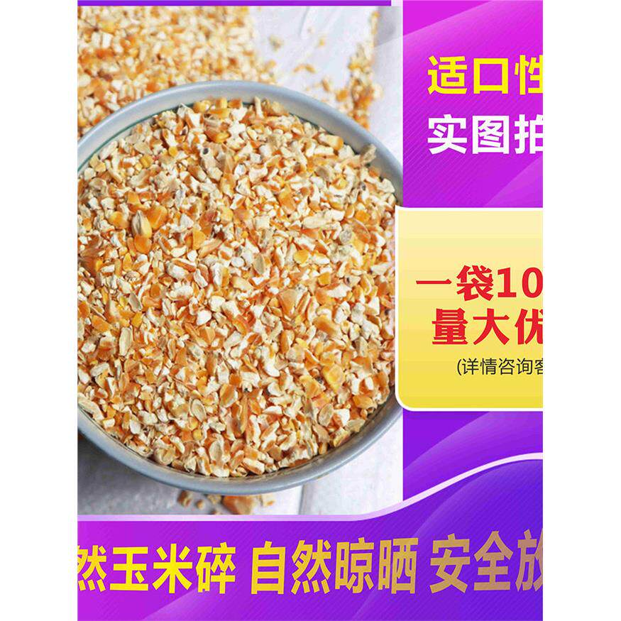 纯玉米粒碎喂鸡饲料蛋鸡