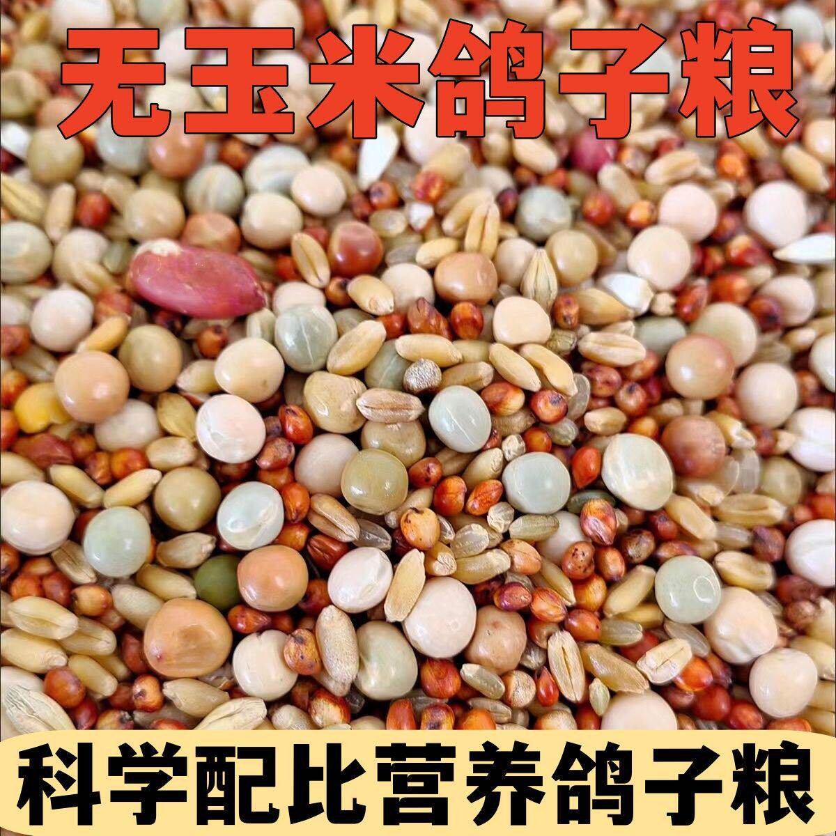 鸽子料无玉米优质营养鸽