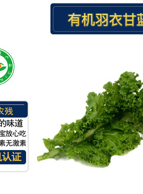 有机羽衣甘蓝4斤现摘现发无农残