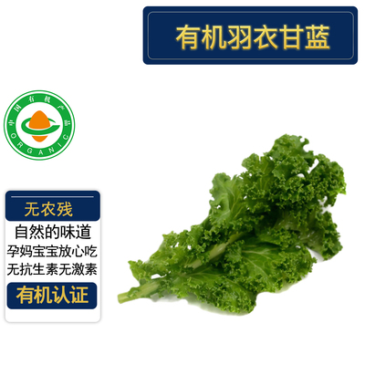 有机羽衣甘蓝4斤现摘现发无农残