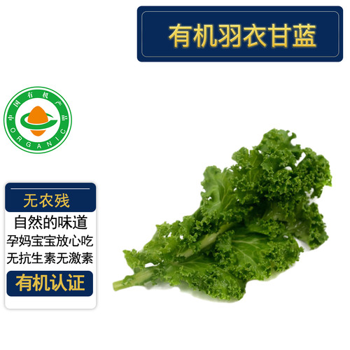 有机羽衣甘蓝4斤现摘现发无农残