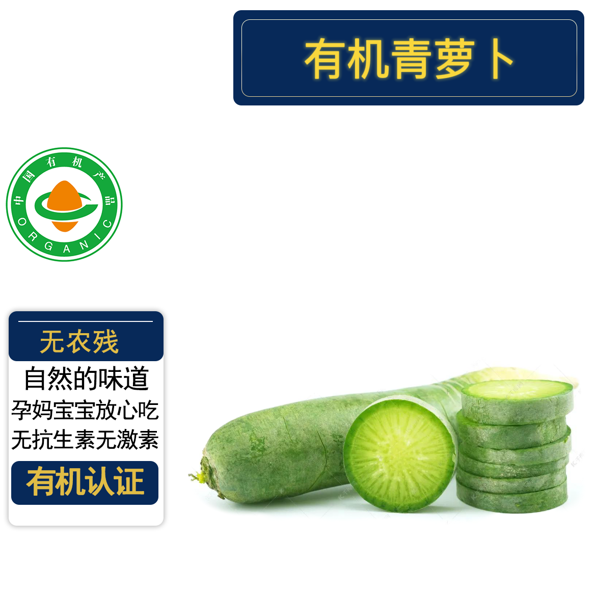 正宗潍坊有机青萝卜5斤