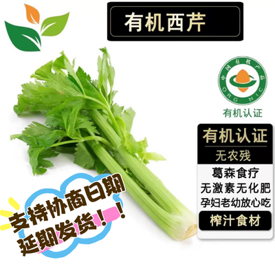 榨汁专用有机西芹有机认证无农残