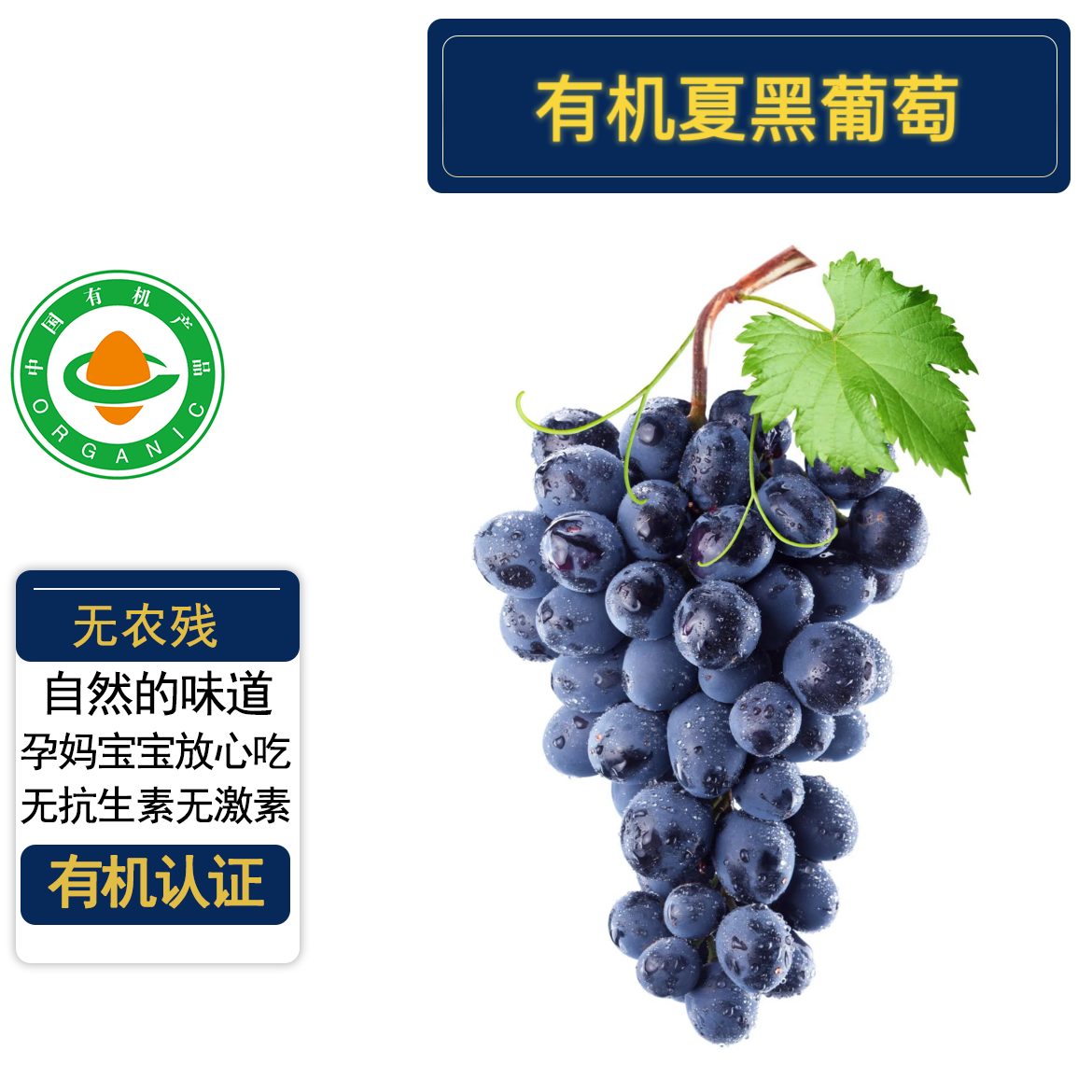 有机夏黑葡萄有机认证无农残