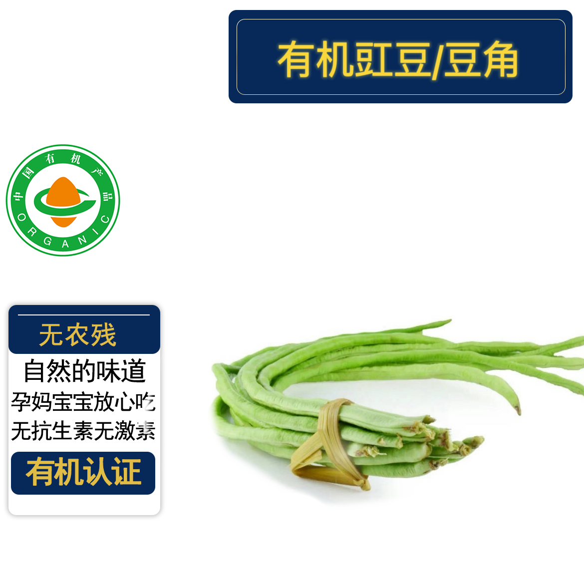 有机四季豆菜豆有机认证无农残