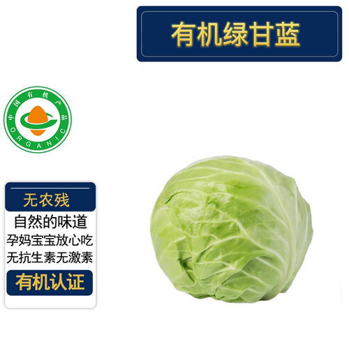 有机认证无农残有机绿甘蓝