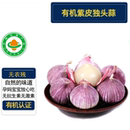 有机紫皮独头蒜 现挖仙法糖醋蒜蘸酱炒菜爆香 有机认证无农残