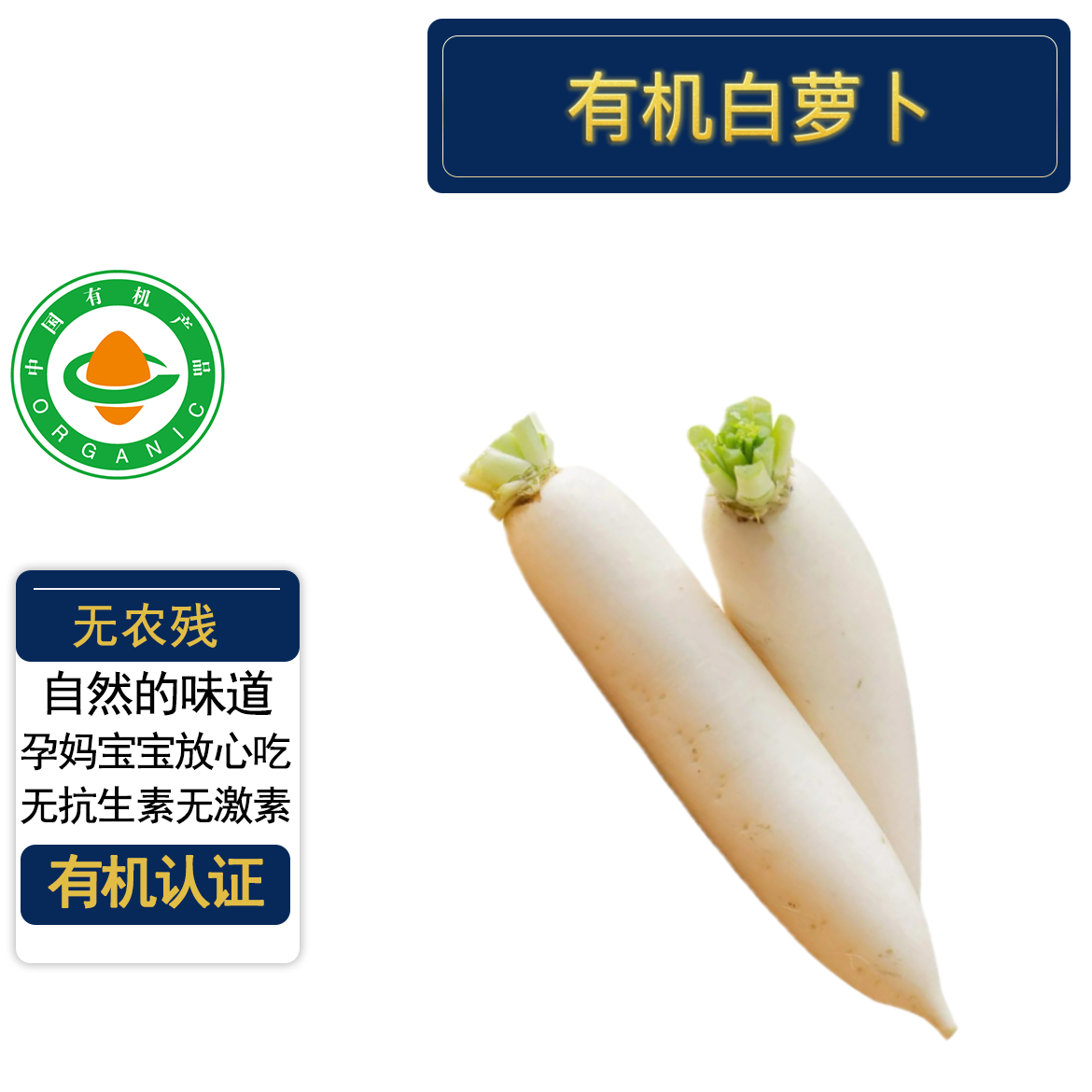 有机白萝卜5斤有机认证无农残