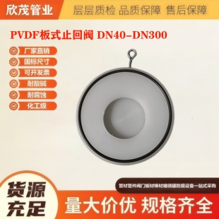耐高温PVDF板式止回阀耐强酸强碱聚偏二氟乙烯单向阀DN40-DN300