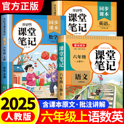 2025年新版六年级上册课堂笔记
