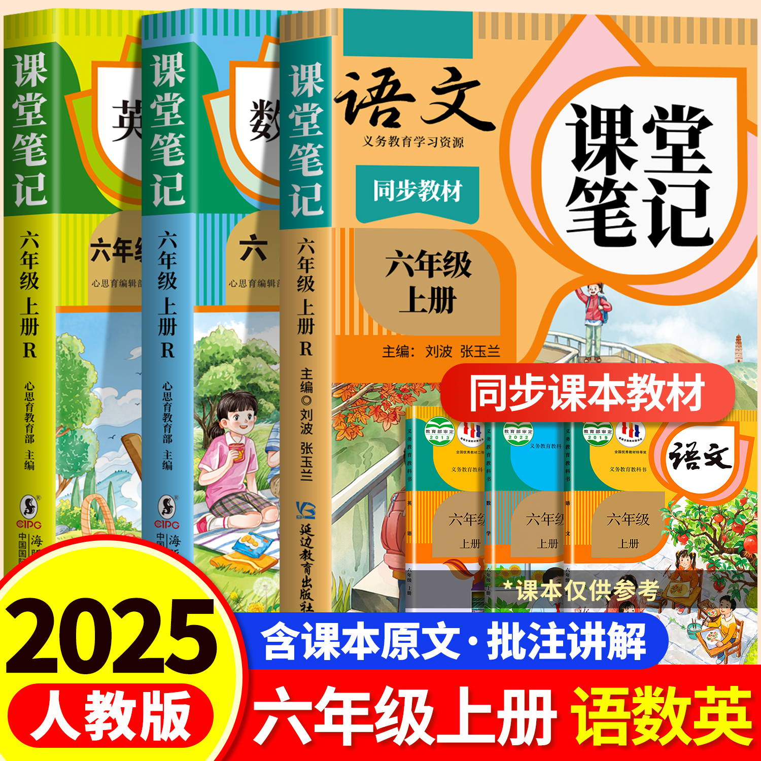2025年新版六年级上册课堂笔记