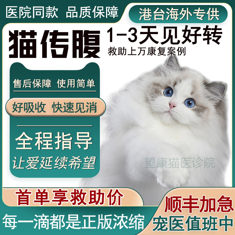 猫传腹猫喵咪特针剂消腹水湿性干性腹膜炎抑制剂口服片剂油剂救助