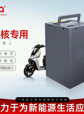 9A动力锂电池适用于极核AE2 city电摩专用