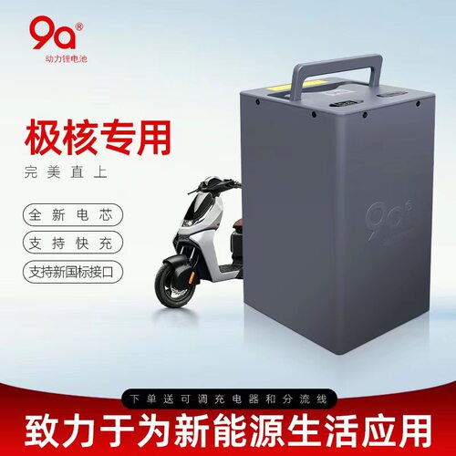 9A动力锂电池适用于极核AE2 city电摩专用
