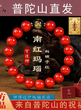 普陀山直发天然柿子南红手串男女款本命年转运川料本命红玛瑙礼物