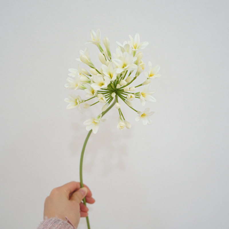 百子莲欧式高品质仿真花