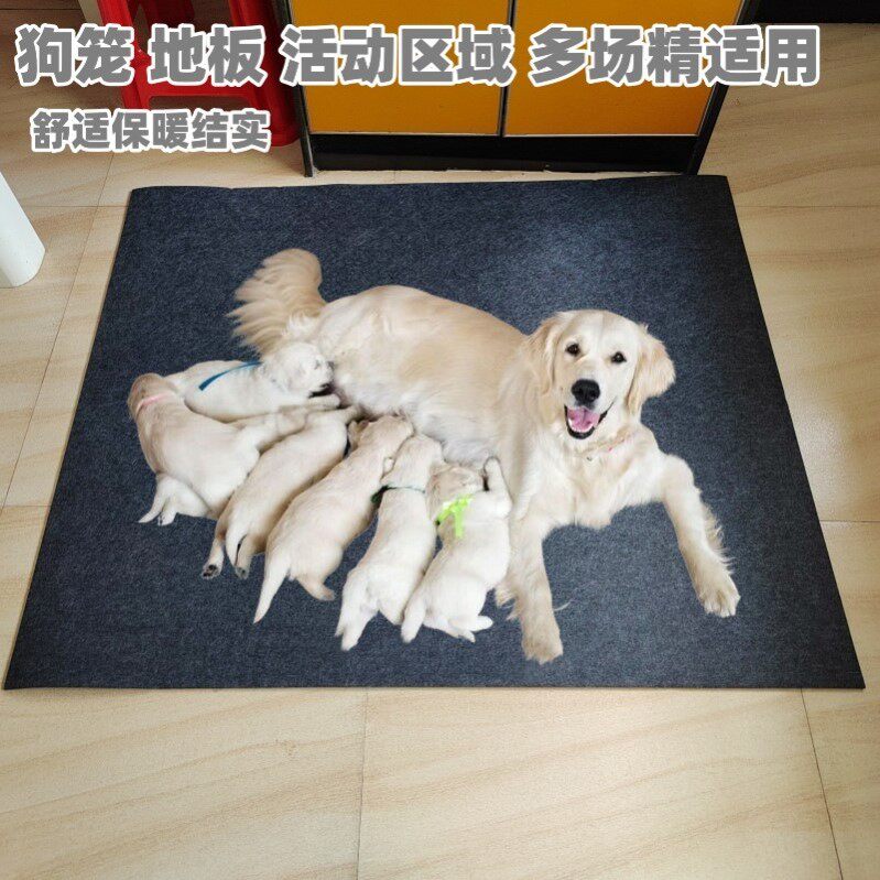 狗垫子防撕咬宠物地垫睡