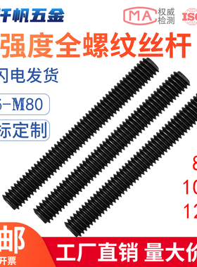 8.8/10.9/12.9高强度丝杆丝杠牙条全牙螺丝杆M12M16M20M24M30-M80