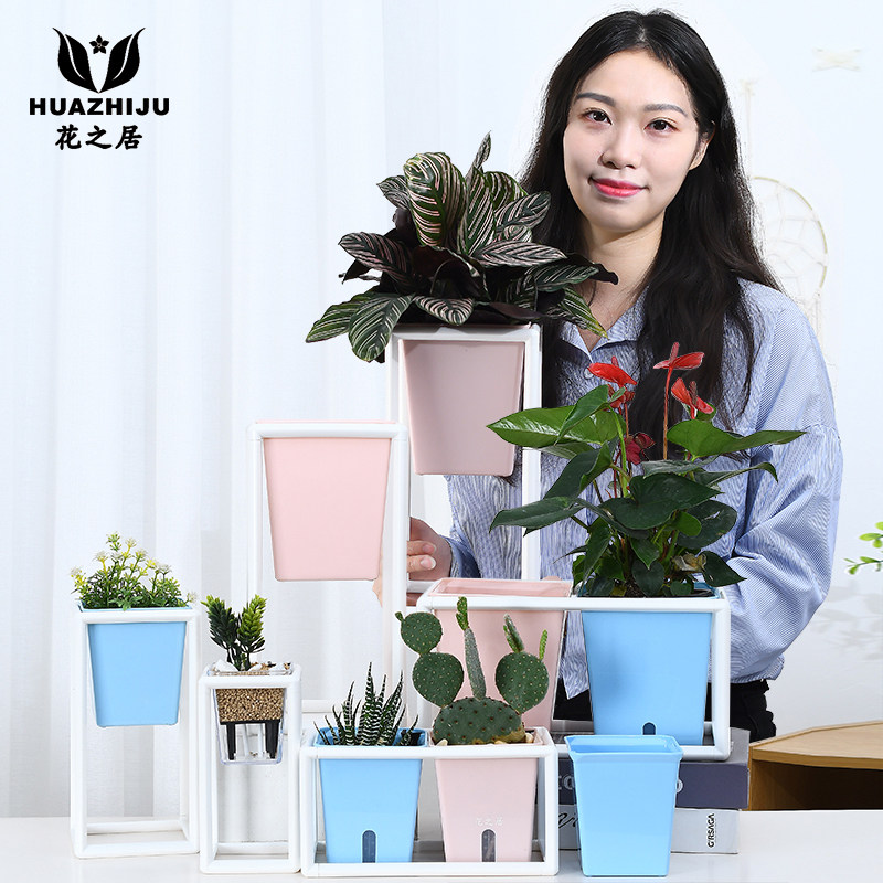 塑料花盆创意个性懒人自动吸水方形绿萝多肉植物绿植小号网红北欧