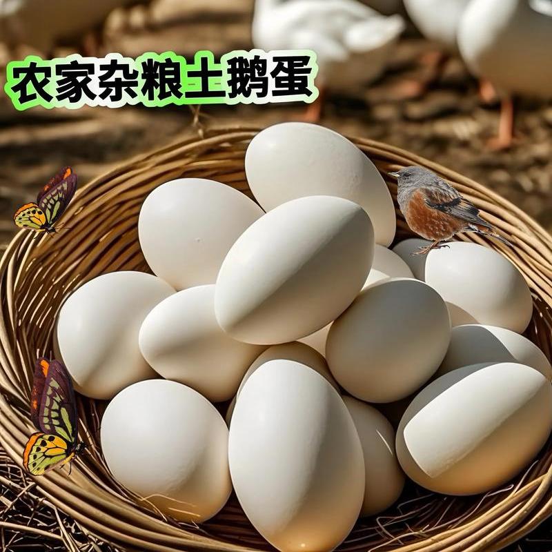 12枚装120-150克双黄大鹅蛋农家杂粮散养新鲜当天现捡现发生鹅蛋