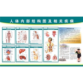 海报印制展板人体内部结构挂图及相关疾病认识
