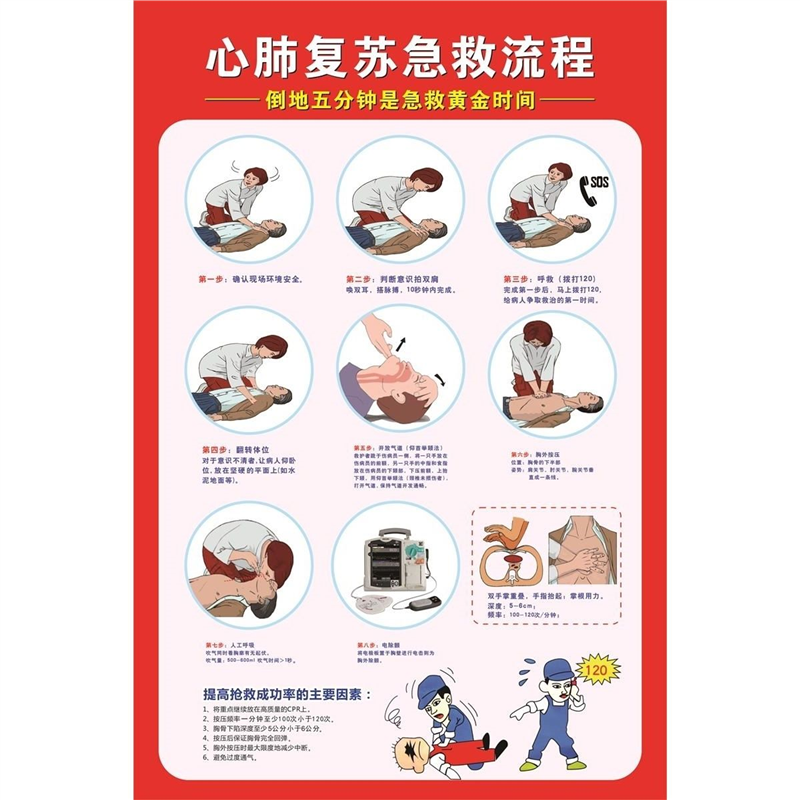 游泳救生心肺复苏流程图安全制度标识牌游泳馆急救措施指示安全标
