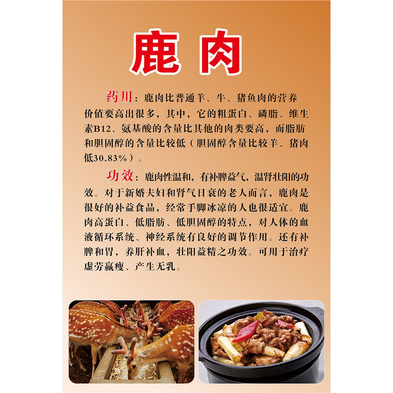 鹿肉海报展板滋补鹿肉锅曾经帝王餐上宴如今走进百姓家墙贴墙纸