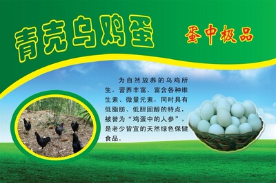 青壳乌鸡蛋海报展板乌鸡蛋无公害更营养无污染更健康KT板