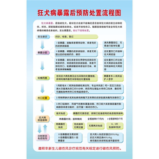 狂犬病暴露后预防处置流程图挂图墙贴纸写真展板海报印制kt板