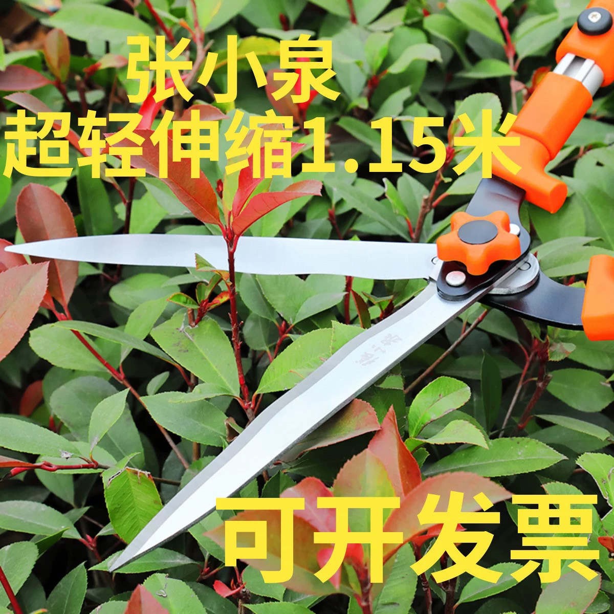 张小泉园艺剪刀加长大修枝剪花草伸缩绿化家用工具绿篱园林修剪树