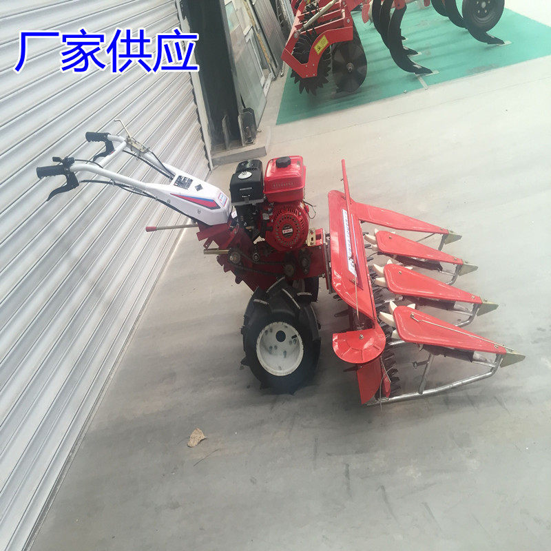 自走式小麦水稻汽油割倒机 山地丘陵农作物收割机 80公分宽割麦机