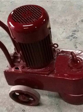 小型手推式水磨石机 电动220VDNS250水磨石机 水泥路面研磨机