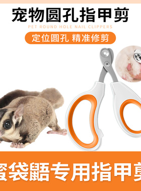 蜜袋鼯专用指甲剪套装指甲剪指甲刀修剪指甲钳磨甲器飞鼠小宠用品