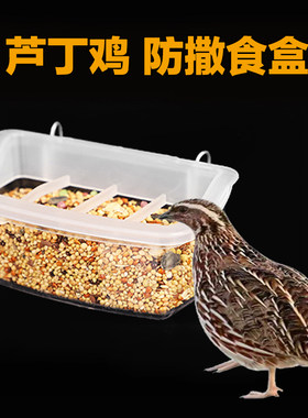 芦丁鸡喂食器喂食饮水器