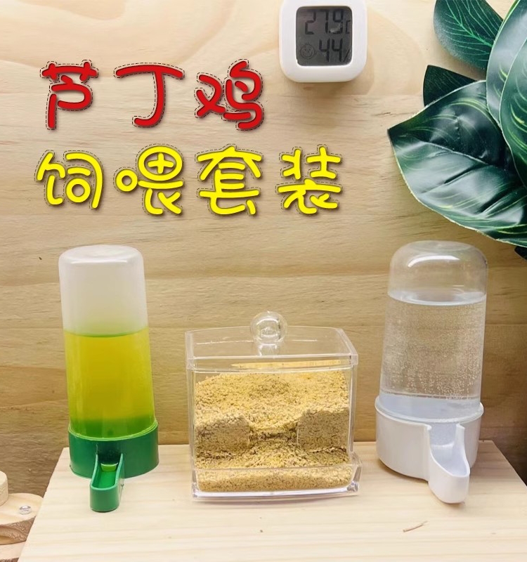 芦丁鸡喂食器鹌鹑网红鸡鸟小雏鸡食盒水槽水壶自动饮水器下饲料盒