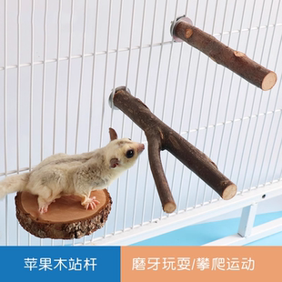 苹果木枝叉跳台树桩吊桥楼梯蜜袋鼯龙猫磨牙仓鼠玩具松鼠玩耍用品