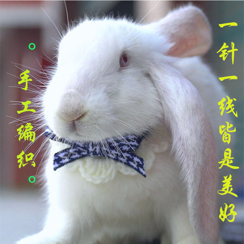 围脖围兜饰品装饰项圈围巾围嘴