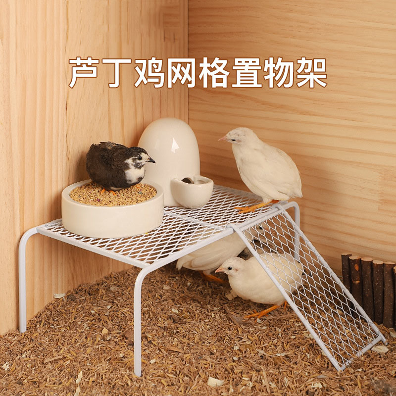 芦丁鸡造景爬梯置物架用品平台