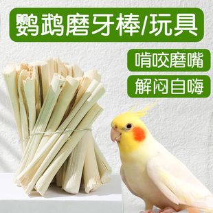 鹦鹉磨牙棒玩具解闷自嗨专用磨嘴器石玄凤小鸟甜竹苹果枝用品大全