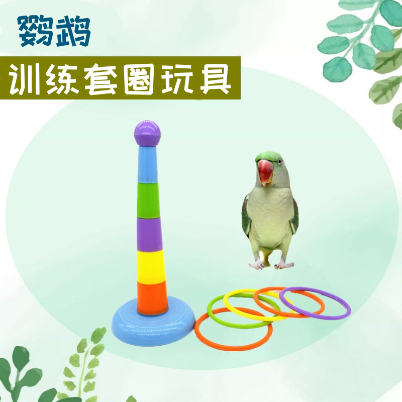 智力开发道具彩色套圈圈慧宠儿