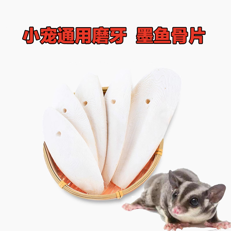 慧宠儿松鼠蜜袋鼯鹦鹉用品