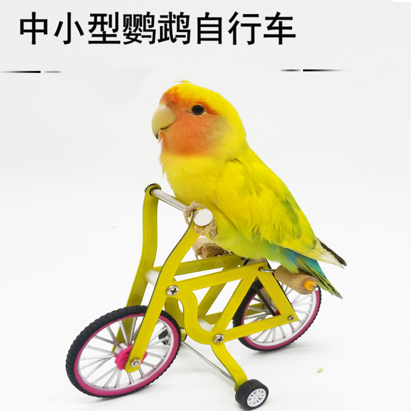 鹦鹉玩具自行车训鸟用品牡丹玄凤
