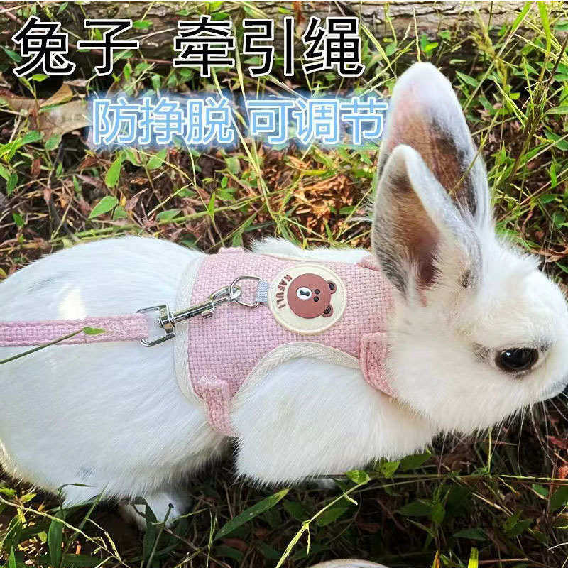 兔子牵引绳夏天专用挣脱调节可爱