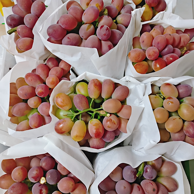 马陆葡萄玫瑰香现采十斤礼盒装