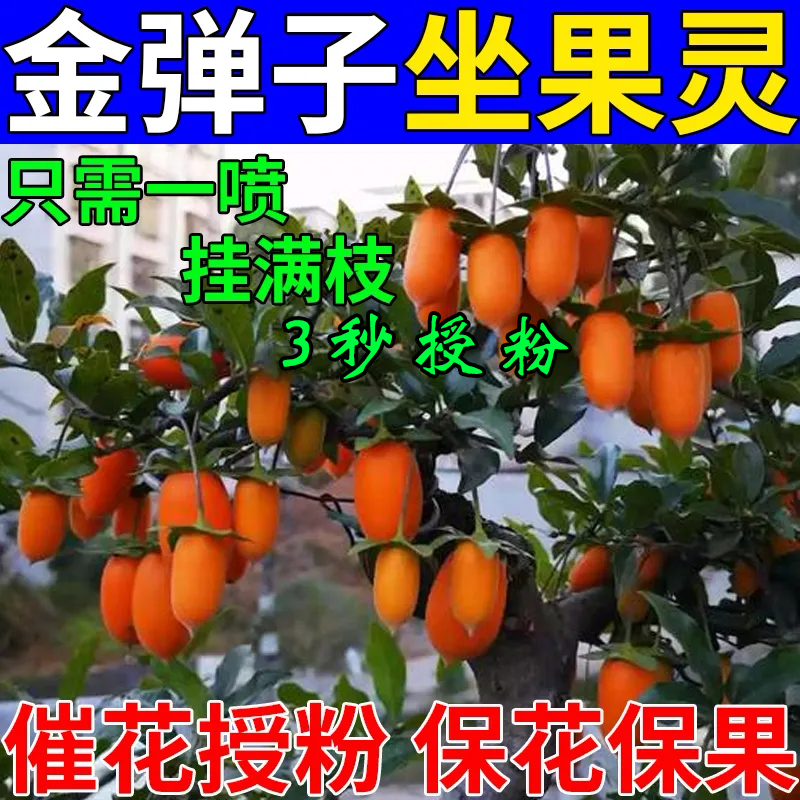 金弹子授粉座果精坐果灵授粉保花保果药防落果防裂果树挂果授粉剂 农用物资 叶面肥 原图主图