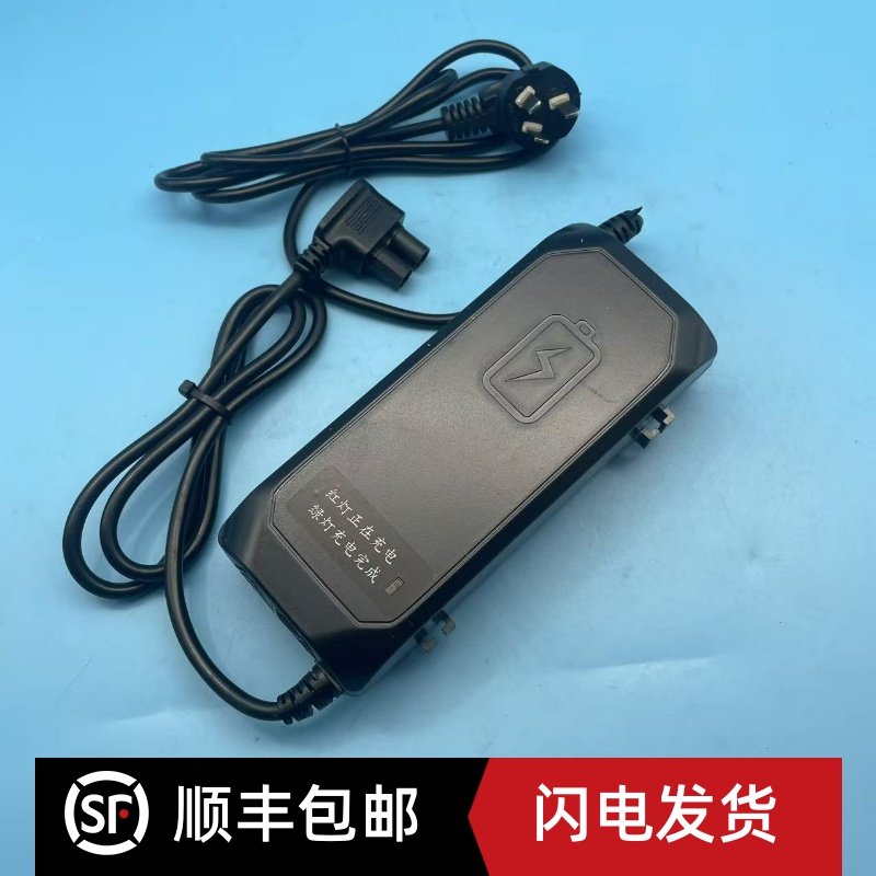 林德MT20电动地牛充电器ESCH48V2.5A-G宝骊KBP20-S3专用充电机