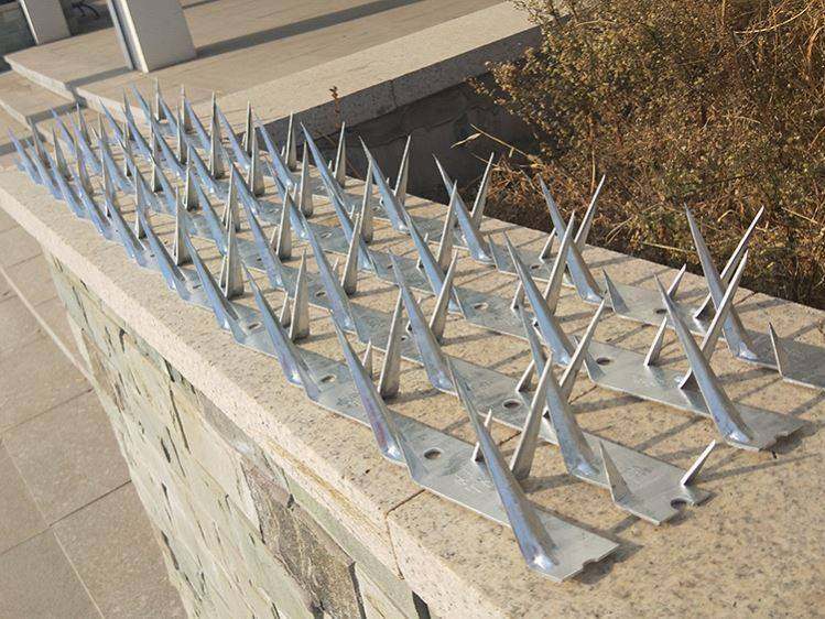 围墙防盗刺防爬刺钉院墙墙头窗台阳台防攀爬倒刺铁刺护栏围栏尖刺