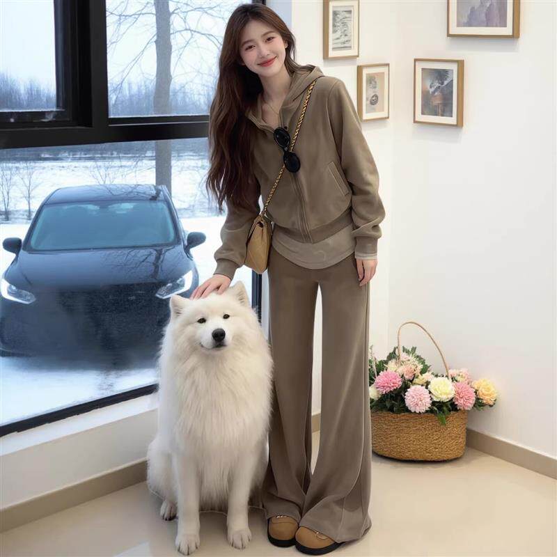 高级感时尚休闲运动套装女2026新款春秋韩版宽松卫衣阔腿裤两件套