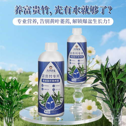 八个老头富贵竹专用营养液叶面浓绿植株粗壮营养丰富叶片防烂根